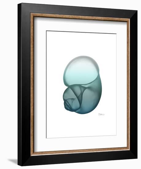 Water Snail-Albert Koetsier-Framed Art Print