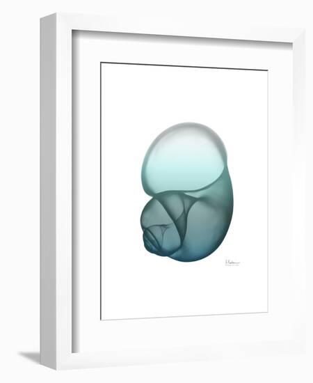 Water Snail-Albert Koetsier-Framed Art Print