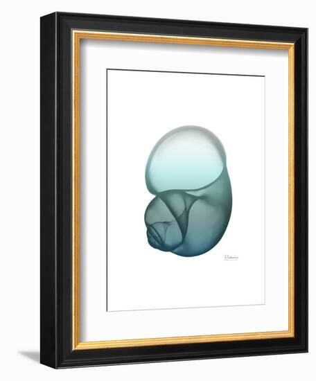 Water Snail-Albert Koetsier-Framed Art Print