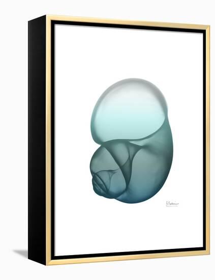 Water Snail-Albert Koetsier-Framed Stretched Canvas