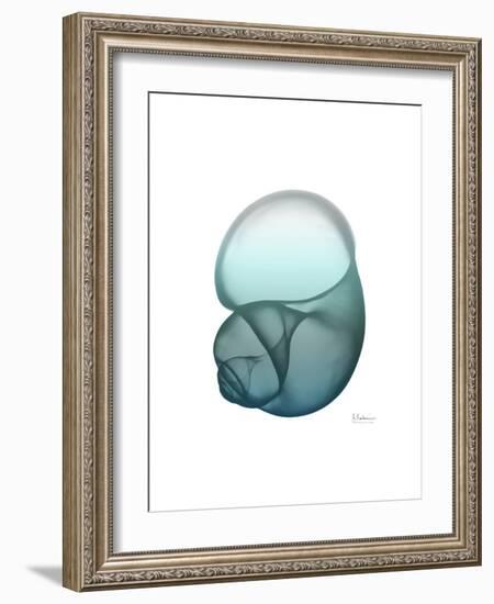 Water Snail-Albert Koetsier-Framed Art Print