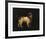 Water Spaniel-George Stubbs-Framed Premium Giclee Print