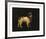 Water Spaniel-George Stubbs-Framed Premium Giclee Print