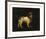 Water Spaniel-George Stubbs-Framed Premium Giclee Print