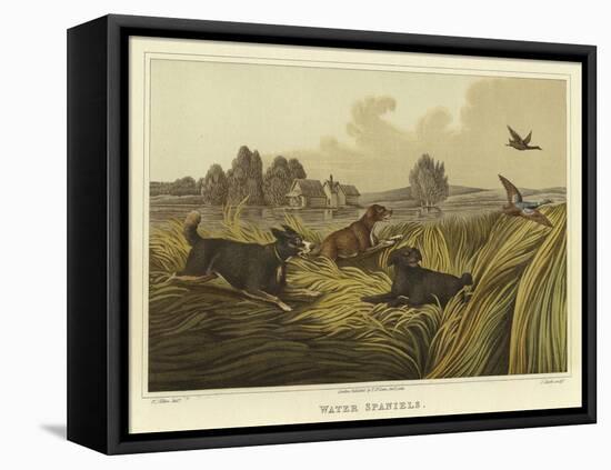 Water Spaniels-Henry Thomas Alken-Framed Premier Image Canvas