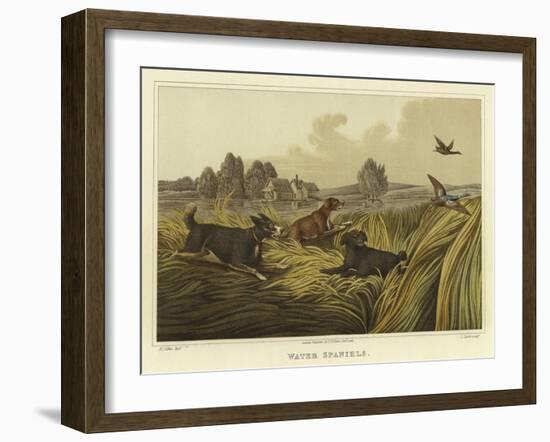 Water Spaniels-Henry Thomas Alken-Framed Giclee Print