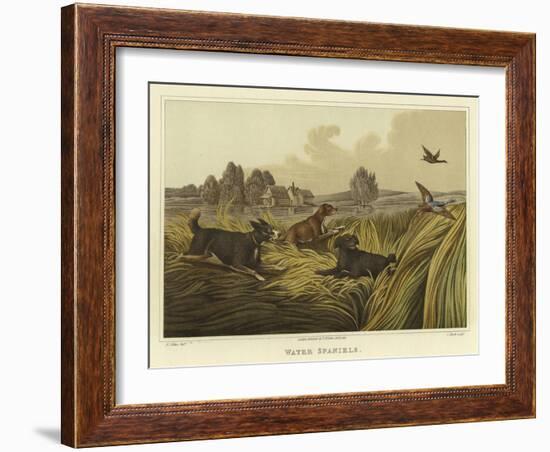 Water Spaniels-Henry Thomas Alken-Framed Giclee Print