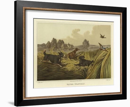 Water Spaniels-Henry Thomas Alken-Framed Giclee Print