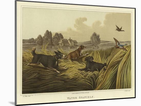 Water Spaniels-Henry Thomas Alken-Mounted Giclee Print