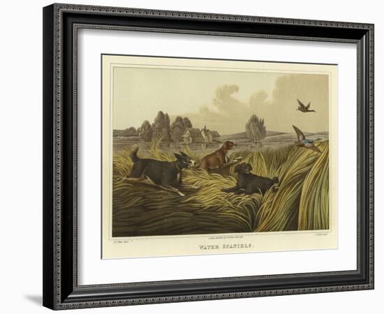 Water Spaniels-Henry Thomas Alken-Framed Giclee Print