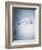 Water Splash-Taro Yamada-Framed Photographic Print