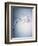 Water Splash-Taro Yamada-Framed Photographic Print