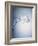 Water Splash-Taro Yamada-Framed Photographic Print