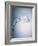 Water Splash-Taro Yamada-Framed Photographic Print