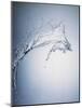 Water Splash-Taro Yamada-Mounted Photographic Print