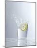 Water Splashing Out of a Glass-Karl Newedel-Mounted Photographic Print