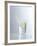 Water Splashing Out of a Glass-Karl Newedel-Framed Photographic Print