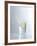 Water Splashing Out of a Glass-Karl Newedel-Framed Photographic Print