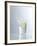 Water Splashing Out of a Glass-Karl Newedel-Framed Photographic Print