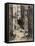 Water Street Stairs, Looking Up, 1881-Joseph Pennell-Framed Premier Image Canvas