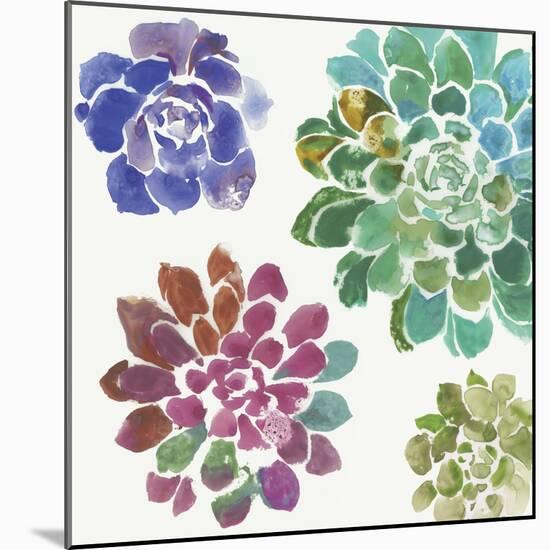 Water Succulents II-Aimee Wilson-Mounted Art Print