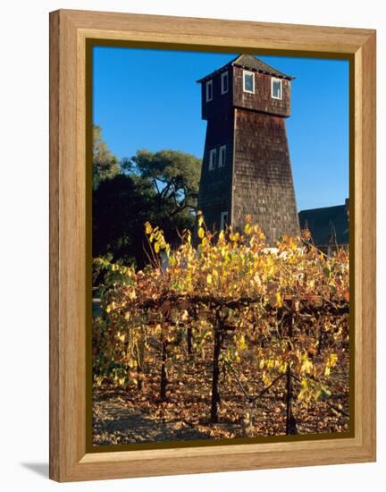 Water Tank Tower at the Handley Cellars Winery, Mendocino County, California, USA-John Alves-Framed Premier Image Canvas