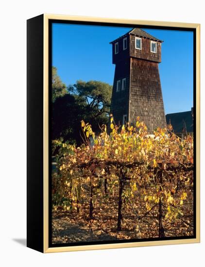 Water Tank Tower at the Handley Cellars Winery, Mendocino County, California, USA-John Alves-Framed Premier Image Canvas