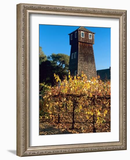 Water Tank Tower at the Handley Cellars Winery, Mendocino County, California, USA-John Alves-Framed Photographic Print