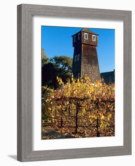 Water Tank Tower at the Handley Cellars Winery, Mendocino County, California, USA-John Alves-Framed Photographic Print