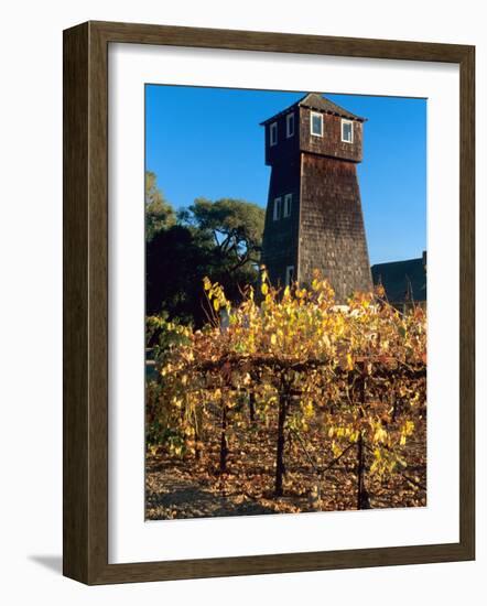 Water Tank Tower at the Handley Cellars Winery, Mendocino County, California, USA-John Alves-Framed Photographic Print