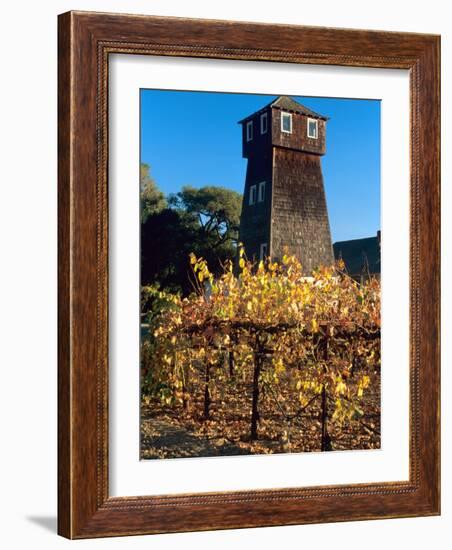 Water Tank Tower at the Handley Cellars Winery, Mendocino County, California, USA-John Alves-Framed Photographic Print