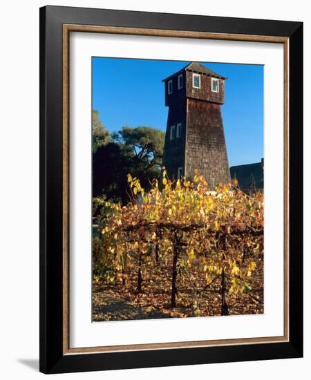 Water Tank Tower at the Handley Cellars Winery, Mendocino County, California, USA-John Alves-Framed Photographic Print