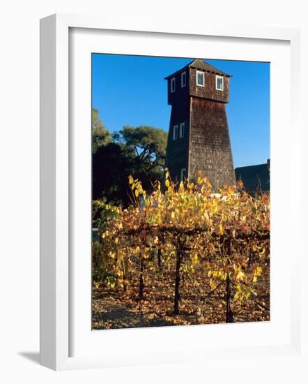 Water Tank Tower at the Handley Cellars Winery, Mendocino County, California, USA-John Alves-Framed Photographic Print