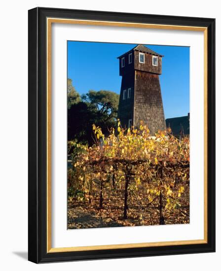 Water Tank Tower at the Handley Cellars Winery, Mendocino County, California, USA-John Alves-Framed Photographic Print