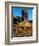 Water Tank Tower at the Handley Cellars Winery, Mendocino County, California, USA-John Alves-Framed Photographic Print