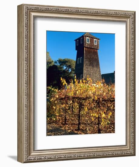 Water Tank Tower at the Handley Cellars Winery, Mendocino County, California, USA-John Alves-Framed Photographic Print