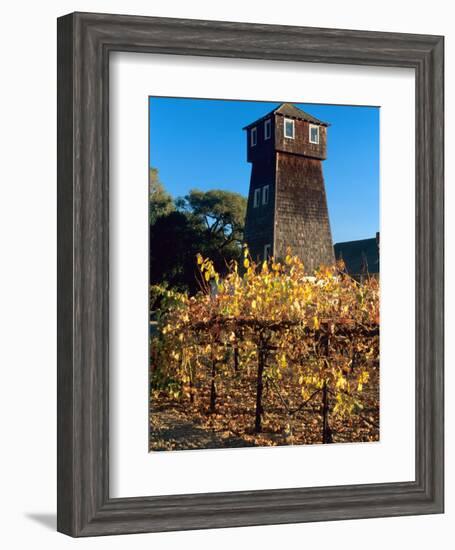 Water Tank Tower at the Handley Cellars Winery, Mendocino County, California, USA-John Alves-Framed Photographic Print