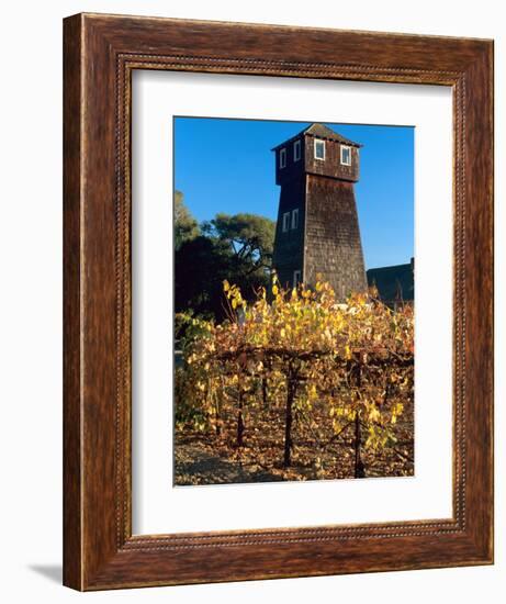 Water Tank Tower at the Handley Cellars Winery, Mendocino County, California, USA-John Alves-Framed Photographic Print