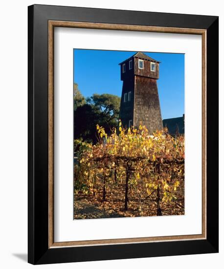 Water Tank Tower at the Handley Cellars Winery, Mendocino County, California, USA-John Alves-Framed Photographic Print