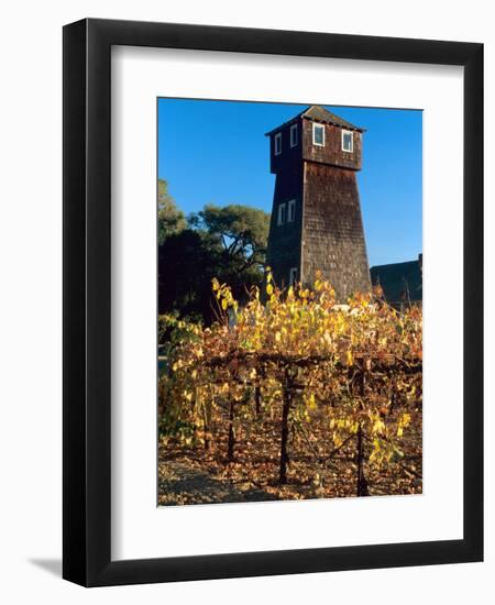 Water Tank Tower at the Handley Cellars Winery, Mendocino County, California, USA-John Alves-Framed Photographic Print