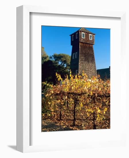 Water Tank Tower at the Handley Cellars Winery, Mendocino County, California, USA-John Alves-Framed Photographic Print