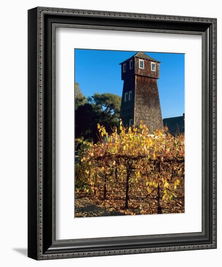 Water Tank Tower at the Handley Cellars Winery, Mendocino County, California, USA-John Alves-Framed Photographic Print