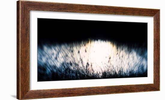 Water Tapestry Iv, 2017, (Manipulated Photography)-Helen White-Framed Photographic Print