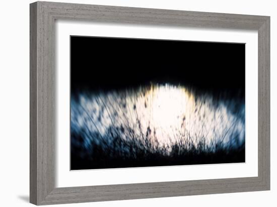 Water Tapestry IV, 2017,-Helen White-Framed Giclee Print