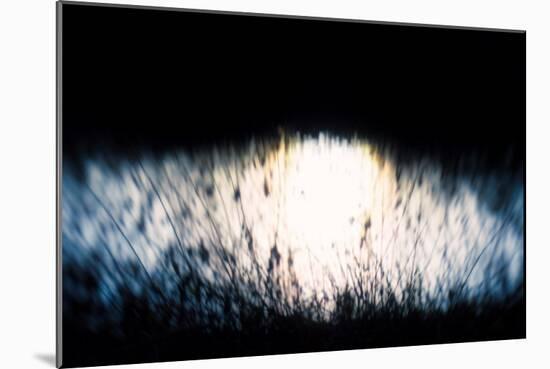 Water Tapestry IV, 2017,-Helen White-Mounted Giclee Print