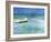 Water Taxi-Curt Crain-Framed Art Print