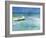 Water Taxi-Curt Crain-Framed Art Print