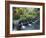 Water Temple, Bali, Indonesia, Southeast Asia-Harding Robert-Framed Photographic Print