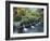 Water Temple, Bali, Indonesia, Southeast Asia-Harding Robert-Framed Photographic Print