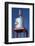 Water Tower, Bricktown, Oklahoma City, Oklahoma, USA-Walter Bibikow-Framed Photographic Print